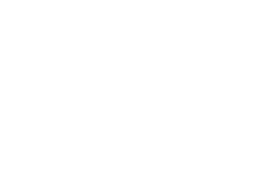 eCommerce store for your business