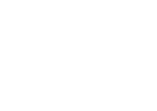 CodeIgniter CMS Websites