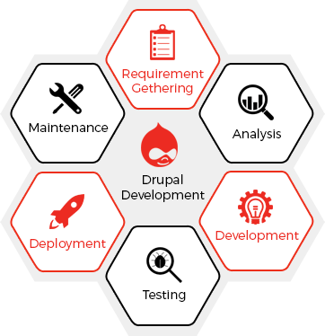 Custom Drupal Development