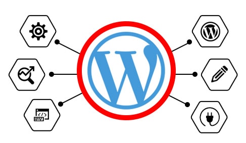 WordPress is the most popular CMS for website development. Our company comprises experienced developers capable to bring your imagination to the reality. Our WordPress developers are developing dynamic custom websites, plugins and many more.