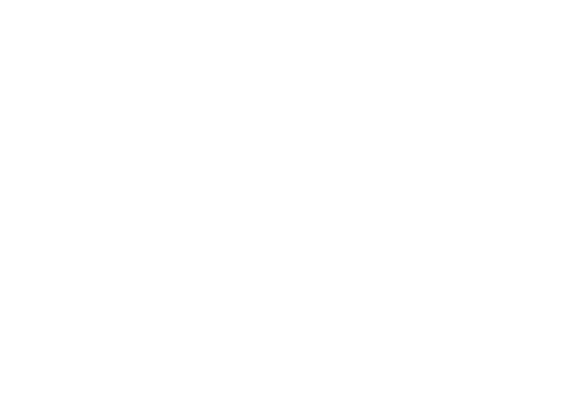 Custom WordPress Websites